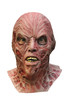 Freddy Krueger Dlx Adult Mask