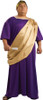 Caesar Adult Costume 44-52