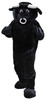 Bull Mascot