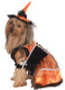 Pet Costume Orange Witch Lg