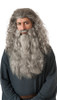 Gandalf Wig/beard Kit