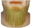 Beard 5 Pt Blend C Blonde 22