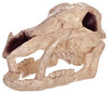 Skeleton Boar Head