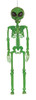 Skeleton Alien Green