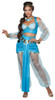 Arabian Princess Adult Costume