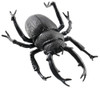 Black Beetle 8 Inches