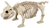 Pig Skeleton