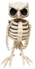 Owl Skeleton Animated