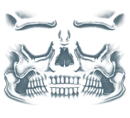 Tattoo Skull Face