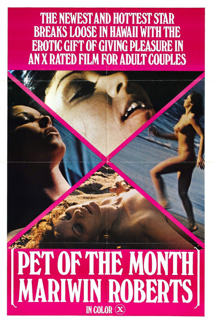 Pet Of The Month 01 Poster Canvas Movie Film Print A0 A1 A2 A3 A4 A5 A6 Art Wall