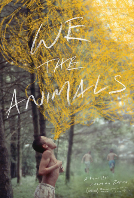 We the Animals (2018)_0 Poster Canvas Movie Film Print A0 A1 A2 A3 A4 A5 A6 Art