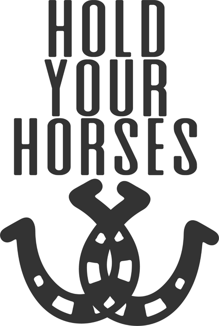 HOLD YOUR HORSES 2 Poster Canvas Movie Film Print A0 A1 A2 A3 A4 A5 A6 Art Wall