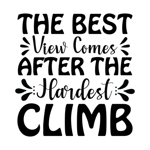 The Best View Comes After the Hardest Climb-01 Poster Canvas Movie Film Print A0