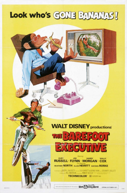 The Barefoot Executive (1971)_0 Poster Canvas Movie Film Print A0 A1 A2 A3 A4 A5