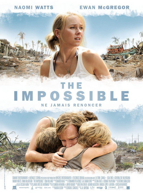 The Impossible (2012)_6 Poster Canvas Movie Film Print A0 A1 A2 A3 A4 A5 A6 Art