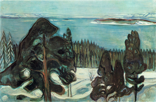 Edvard Munch - Winter night Poster Canvas Movie Film Print A0 A1 A2 A3 A4 A5 A6