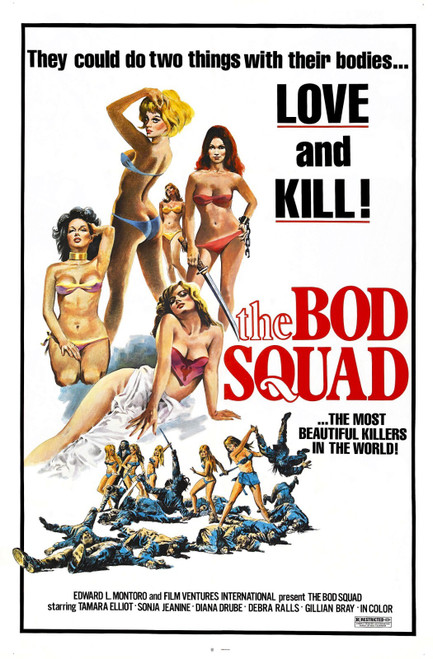 Bod Squad 01 Poster Canvas Movie Film Print A0 A1 A2 A3 A4 A5 A6 Art Wall Decora