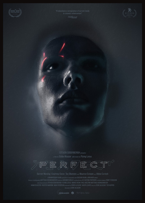 Perfect (2019)_2 Poster Canvas Movie Film Print A0 A1 A2 A3 A4 A5 A6 Art Wall De