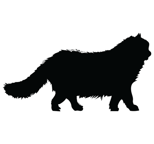 Cat Shillhutte 3-01 Poster Canvas Movie Film Print A0 A1 A2 A3 A4 A5 A6 Art Wall