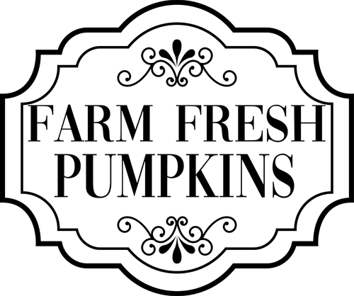 farm fresh pumpkins Poster Canvas Movie Film Print A0 A1 A2 A3 A4 A5 A6 Art Wall