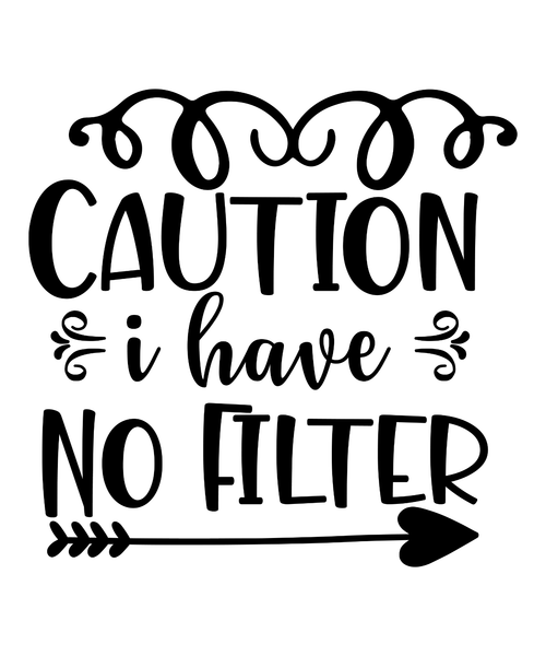 Caution I Have No Filter-01 (3) Poster Canvas Movie Film Print A0 A1 A2 A3 A4 A5