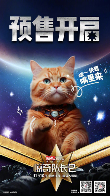 The Marvels (2023)_19 Poster Canvas Movie Film Print A0 A1 A2 A3 A4 A5 A6 Art Wa