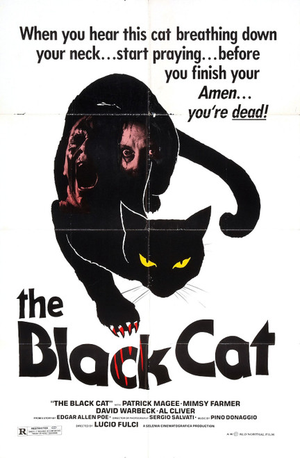 Black Cat 1981 01 Poster Canvas Movie Film Print A0 A1 A2 A3 A4 A5 A6 Art Wall D