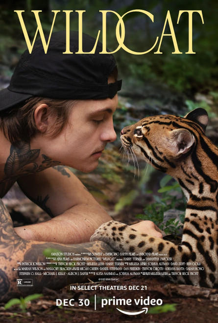 Wildcat (2022)_0 Poster Canvas Movie Film Print A0 A1 A2 A3 A4 A5 A6 Art Wall De