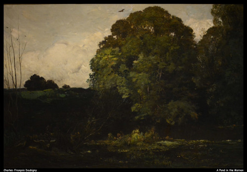 charles-franois-daubigny---a-pond-in-the-morvan--jpb_16619660325_o(1) Poster Can