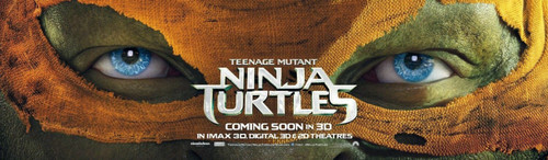 Teenage Mutant Ninja Turtles (2014)_20 Poster Canvas Movie Film Print A0 A1 A2 A