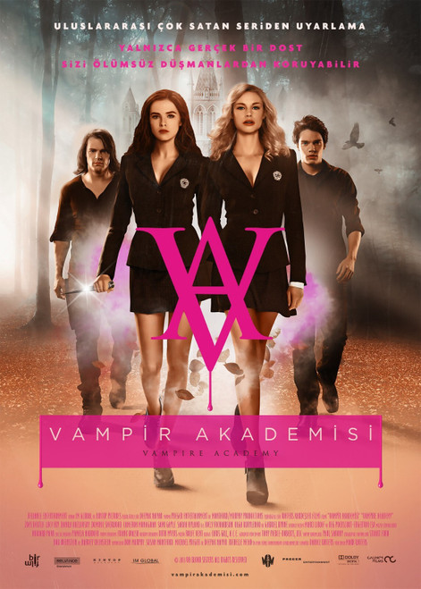 Vampire Academy (2014)_8 Poster Canvas Movie Film Print A0 A1 A2 A3 A4 A5 A6 Art