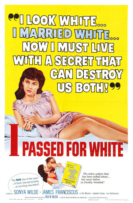 I Passed For White 01 Poster Canvas Movie Film Print A0 A1 A2 A3 A4 A5 A6 Art Wa