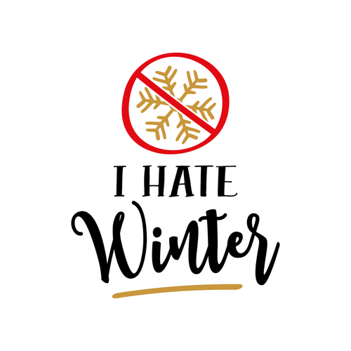 I Hate Winter Poster Canvas Movie Film Print A0 A1 A2 A3 A4 A5 A6 Art Wall Decor