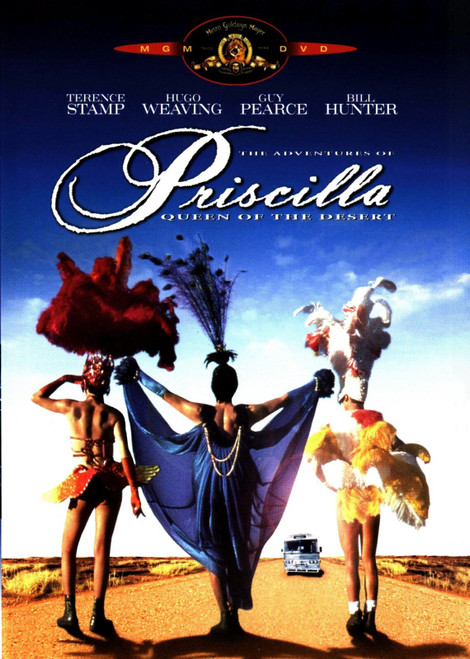 Priscilla of the Desert (6) Poster Canvas Movie Film Print A0 A1 A2 A3 A4 A5 A6