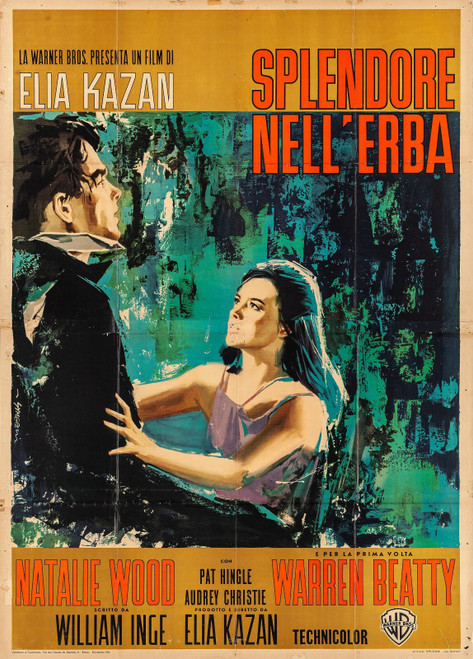 Splendor in the Grass (1961)_3 Poster Canvas Movie Film Print A0 A1 A2 A3 A4 A5