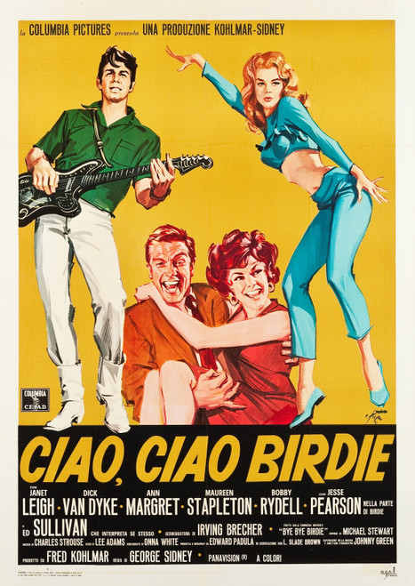 Bye Bye Birdie (1963)_2 Movie Film Poster Canvas iconic design
