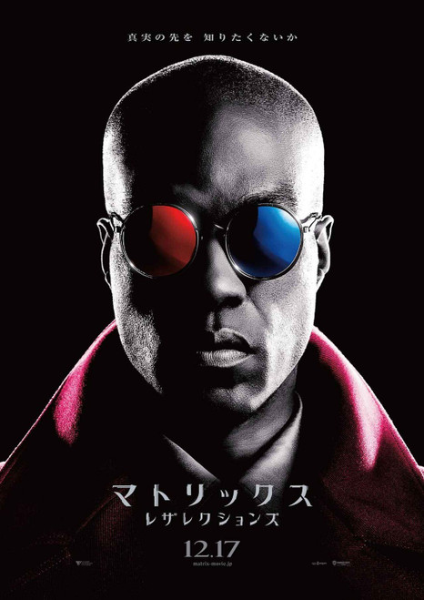 The Matrix Resurrections 17 Poster Canvas Movie Film Print A0 A1 A2 A3 A4 A5 A6