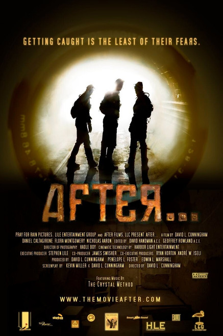 After_ (2007)_0 Movie Film Poster Canvas iconic design