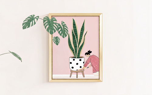 Snake Plant Dotty Dalmatian Pot Pink Botanical Print - Unframed A6 A5 A4 A3 A2 A