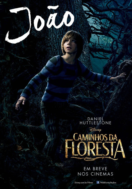 Into the Woods (2014)_5 Poster Canvas Movie Film Print A0 A1 A2 A3 A4 A5 A6 Art