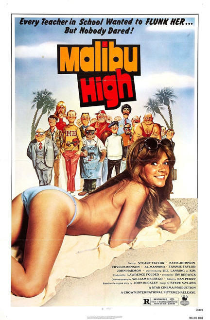 Malibu High (1979)_0 Poster Canvas Movie Film Print A0 A1 A2 A3 A4 A5 A6 Art Wal