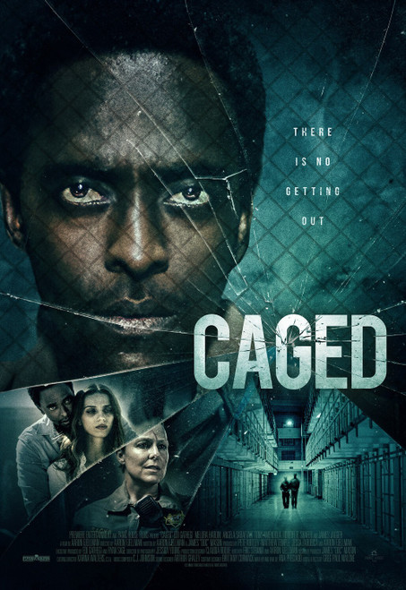 Caged Poster Canvas Movie Film Print A0 A1 A2 A3 A4 A5 A6 Art Wall Decoration