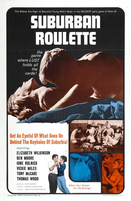 Suburban Roulette 01 Poster Canvas Movie Film Print A0 A1 A2 A3 A4 A5 A6 Art Wal