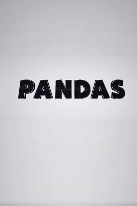 Pandas 2 Poster Canvas Movie Film Print A0 A1 A2 A3 A4 A5 A6 Art Wall Decoratio