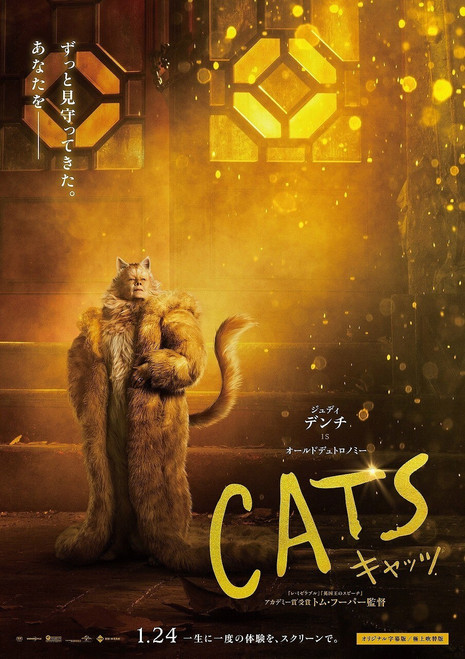Cats (2019)_6 Movie Film Poster Canvas iconic design