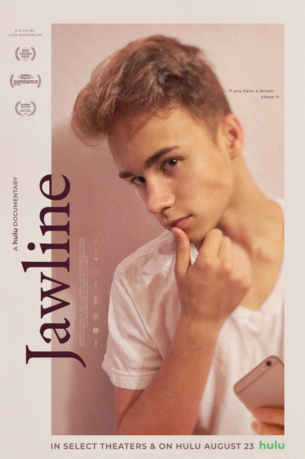 Jawline (2019)_2 Poster Canvas Movie Film Print A0 A1 A2 A3 A4 A5 A6 Art Wall De