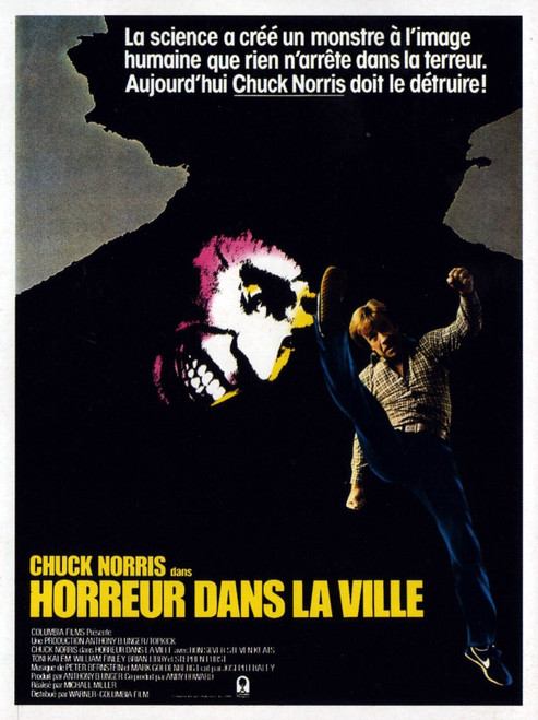 Silent Rage 02 Poster Canvas Movie Film Print A0 A1 A2 A3 A4 A5 A6 Art Wall Deco