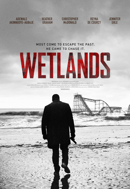 Wetlands (2017)_0 Poster Canvas Movie Film Print A0 A1 A2 A3 A4 A5 A6 Art Wall D