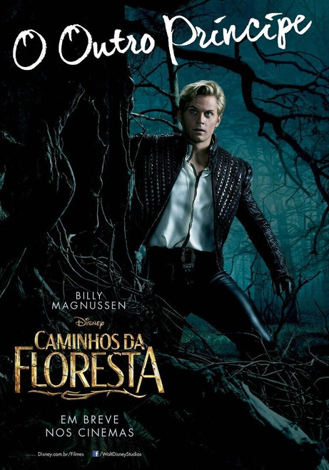 Into the Woods (2014)_9 Poster Canvas Movie Film Print A0 A1 A2 A3 A4 A5 A6 Art