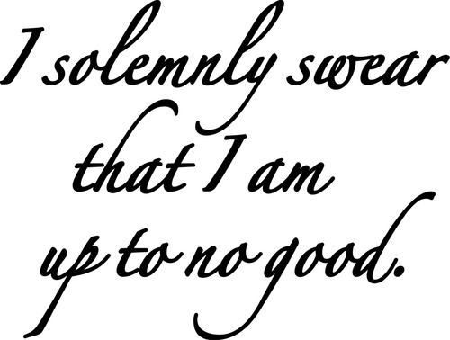 17_ I Solemnly Swear Poster Canvas Movie Film Print A0 A1 A2 A3 A4 A5 A6 Art Wal